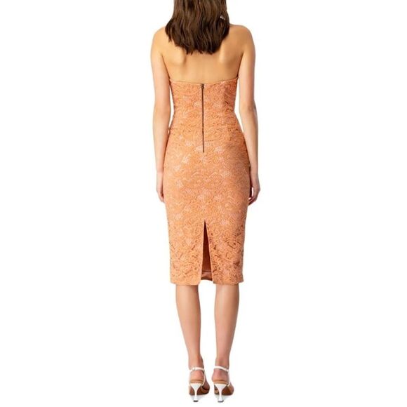 Bardot Riveria Lace Corset Bodycon Halter Dress In Rust Orange/Peach Size 8 - Picture 5 of 11